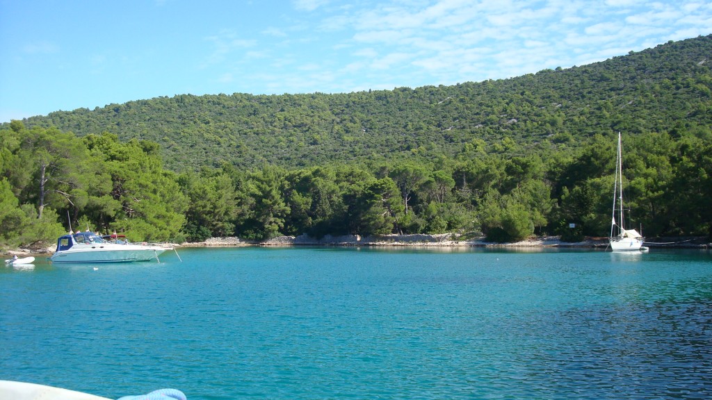 DSC06640