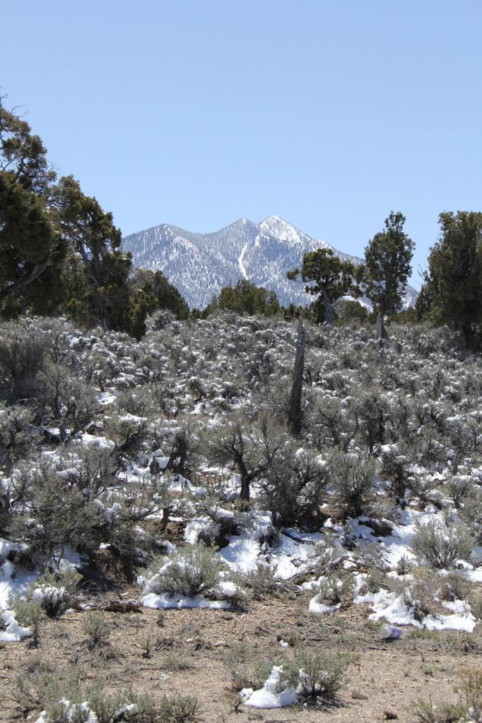 Snow late April on US Hwy 6, Nevada Basin and Range loneliest Hwy in USA