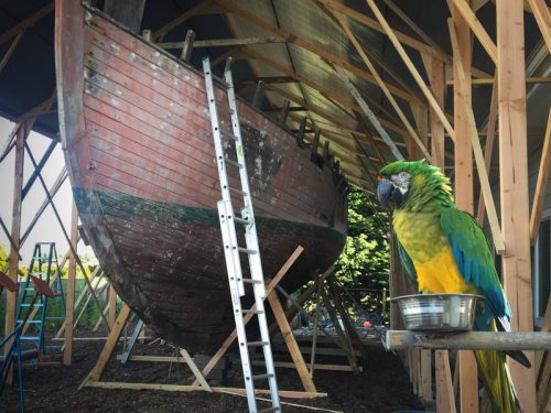 Yacht Tally Ho being rebuilt